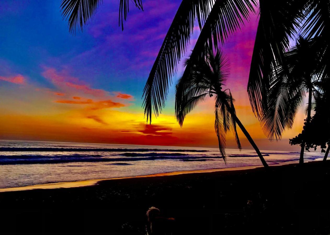 Beachfront Paradise マヌエル・アントニオ エクステリア 写真