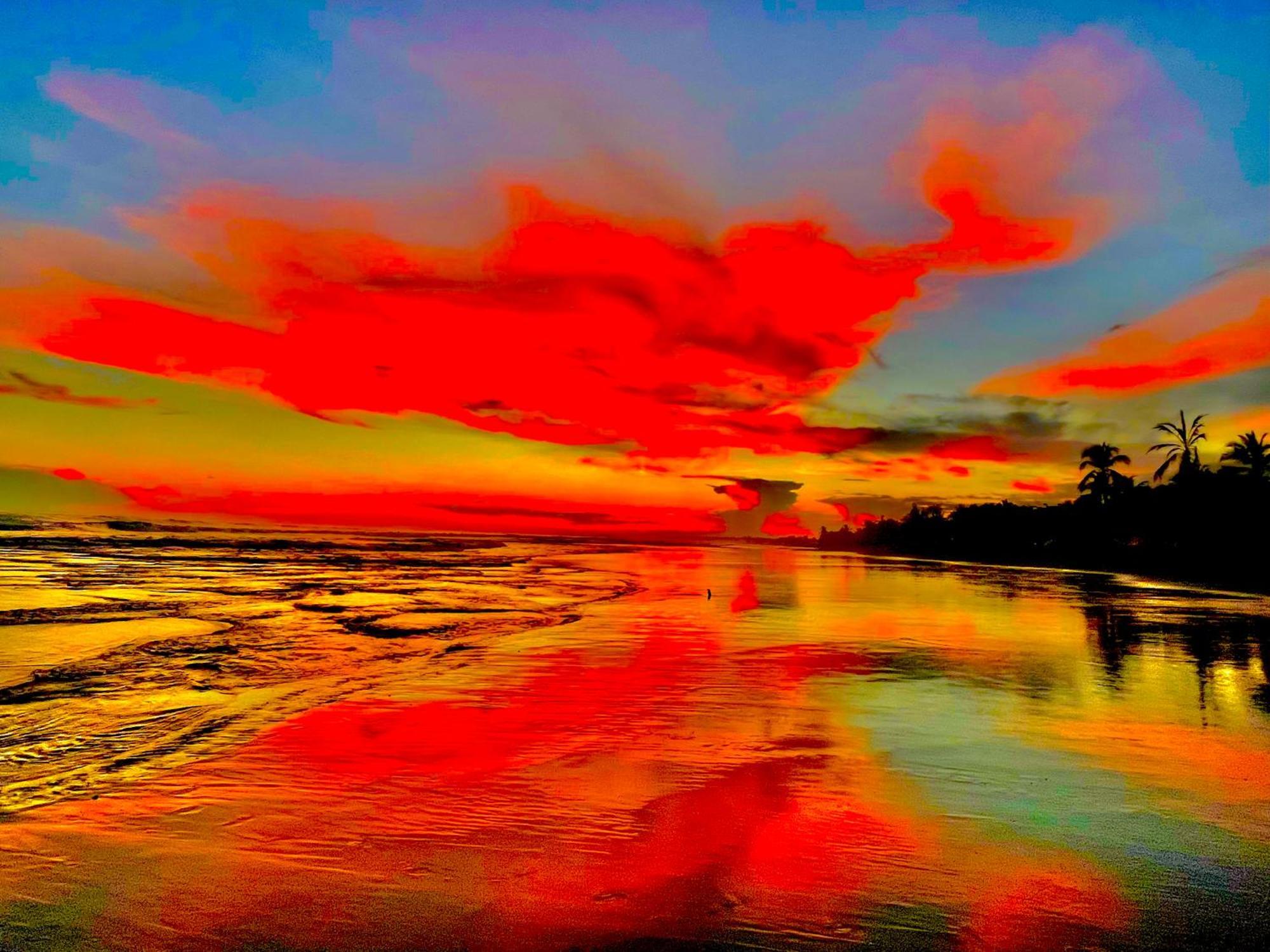 Beachfront Paradise マヌエル・アントニオ エクステリア 写真
