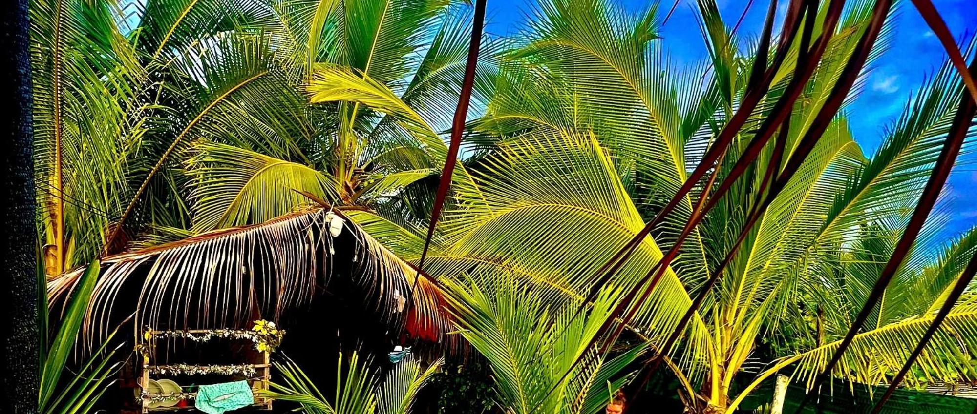 Beachfront Paradise マヌエル・アントニオ エクステリア 写真