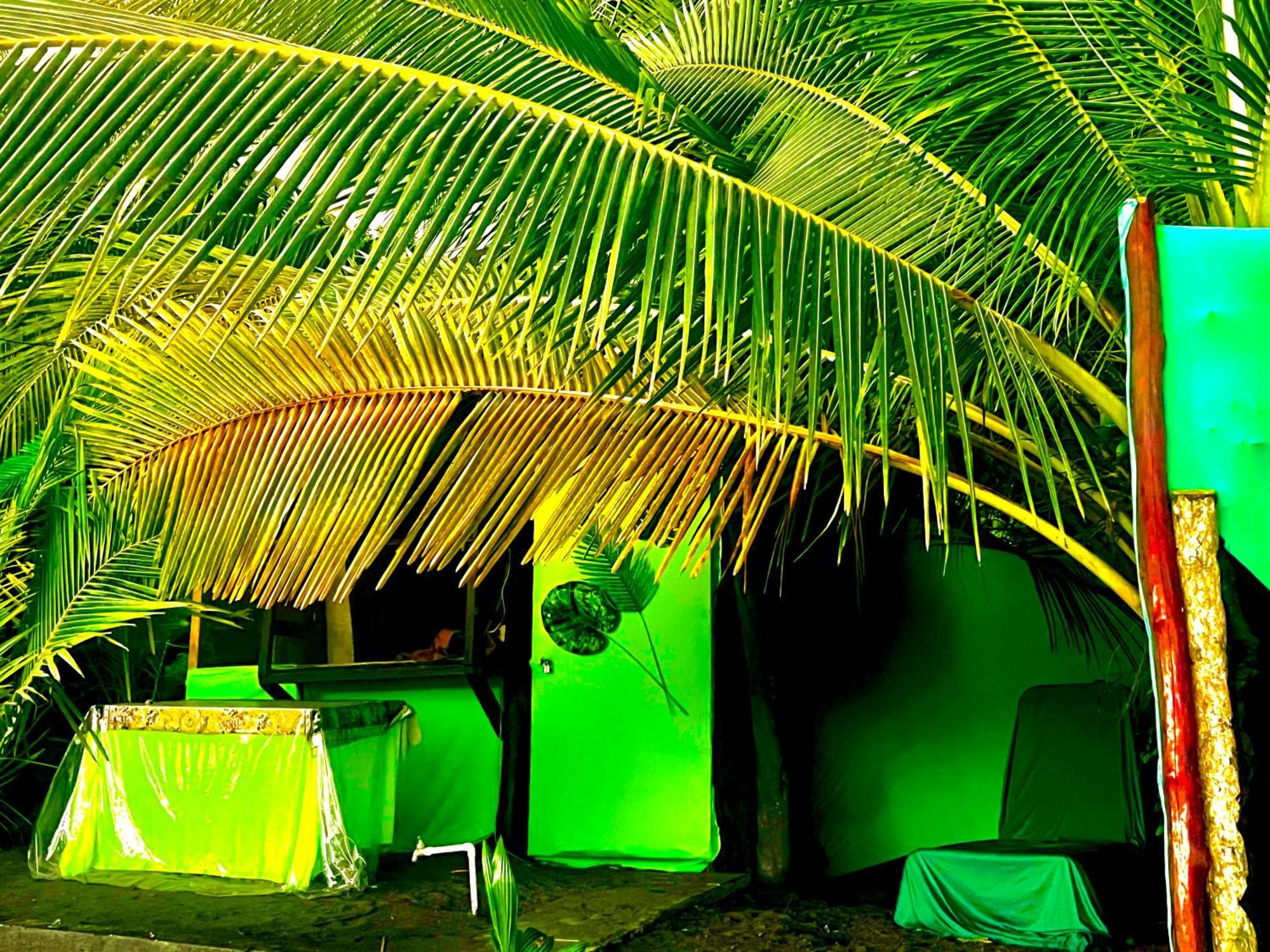 Beachfront Paradise マヌエル・アントニオ エクステリア 写真