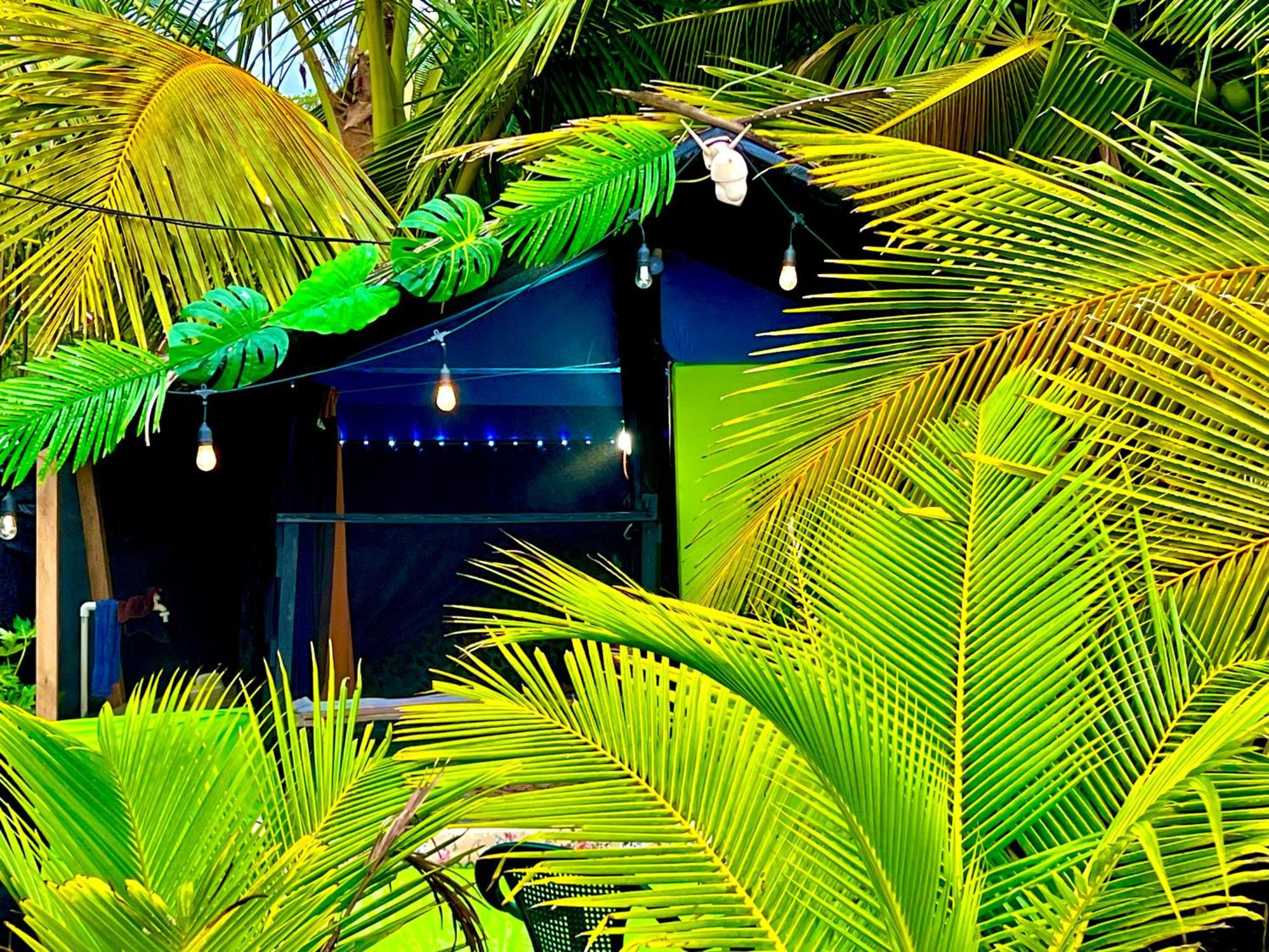 Beachfront Paradise マヌエル・アントニオ エクステリア 写真