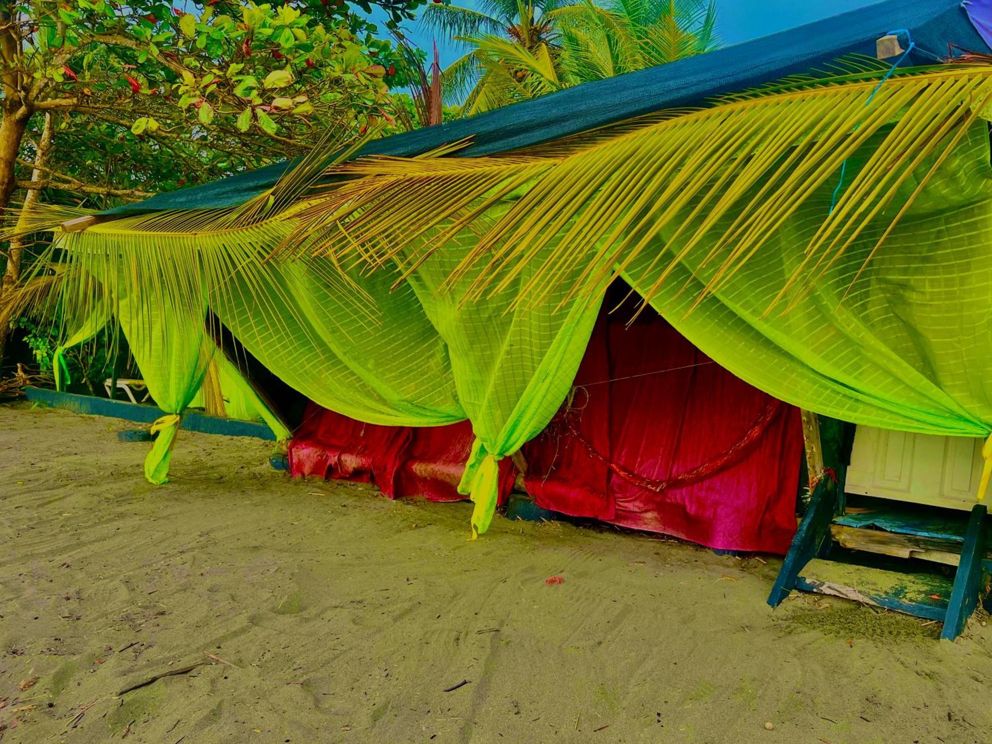 Beachfront Paradise マヌエル・アントニオ エクステリア 写真
